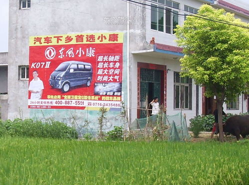 荆州刷墙广告哪家好,荆州刷墙广告,麦浪广告图片